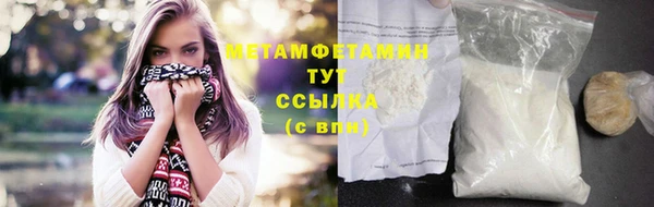 крисы Богородицк