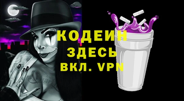крисы Богородицк
