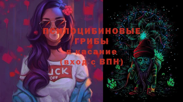 крисы Богородицк
