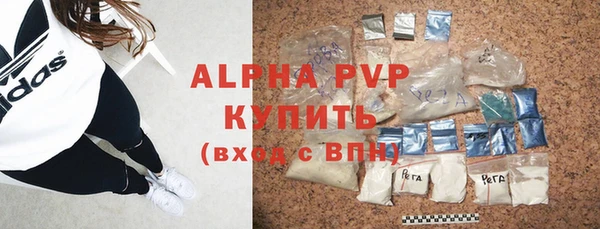 крисы Богородицк